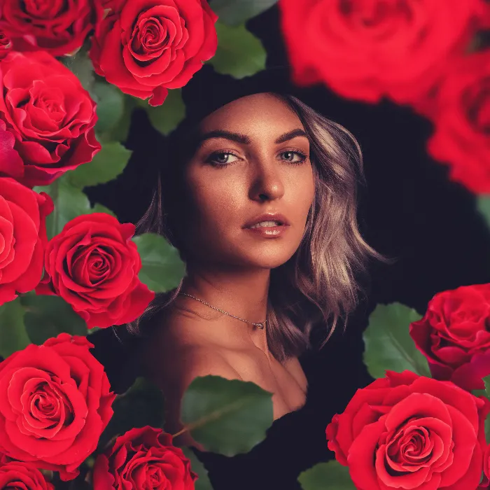 65 Bilder von roten und gelben Rosen für deine Fotos