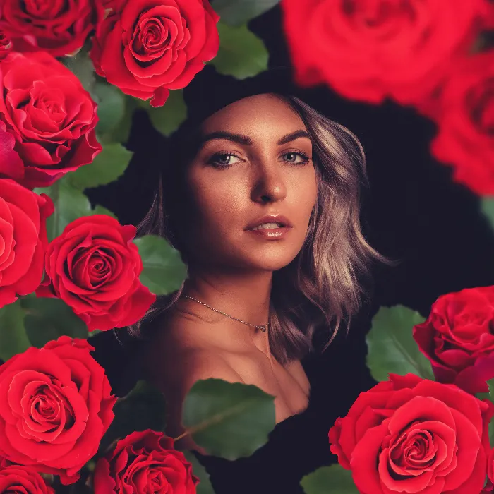 65 images of red and yellow roses for your photos