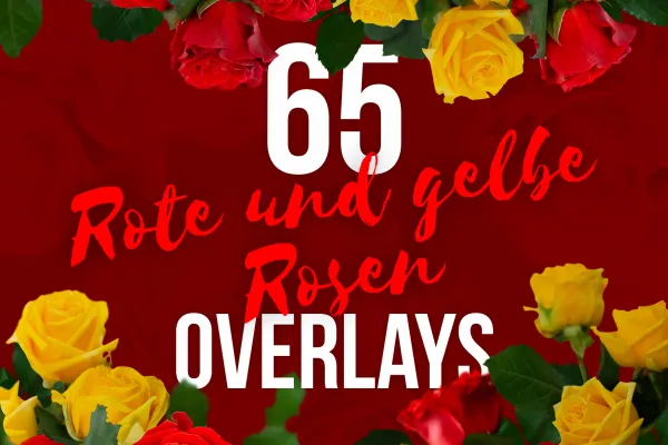 Example images from the package for red and yellow roses