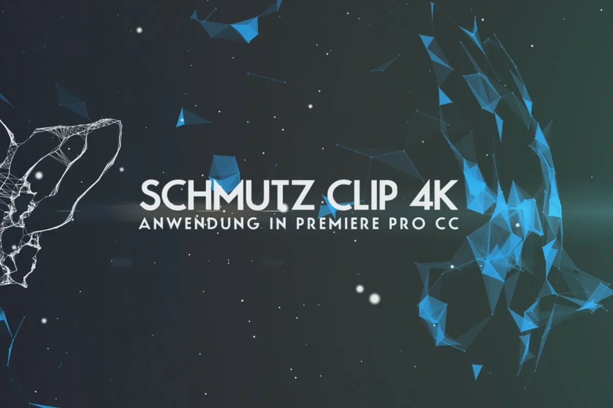 Video-Anleitung: So wendest du das Schmutz-Overlay in Premiere Pro CC an