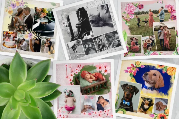 Vorschau auf die Bilderrahmen mit Blumen für Fotocollagen in Photoshop und Co.