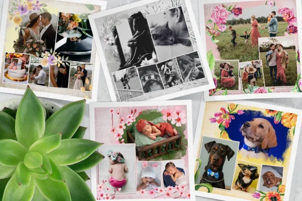Preview the photo frames with Blum for photo collages in Photoshop and Co.