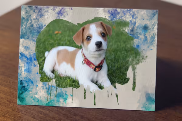 Foto di un cane in una cornice con effetto acquerello