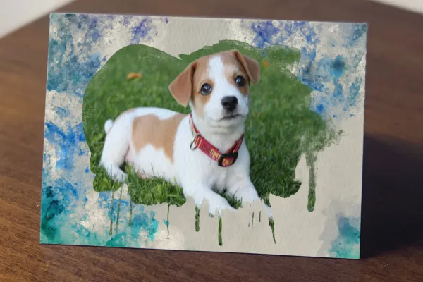 Foto eines Hundes in einem Bilderrahmen mit Wasserfarben-Effekt
