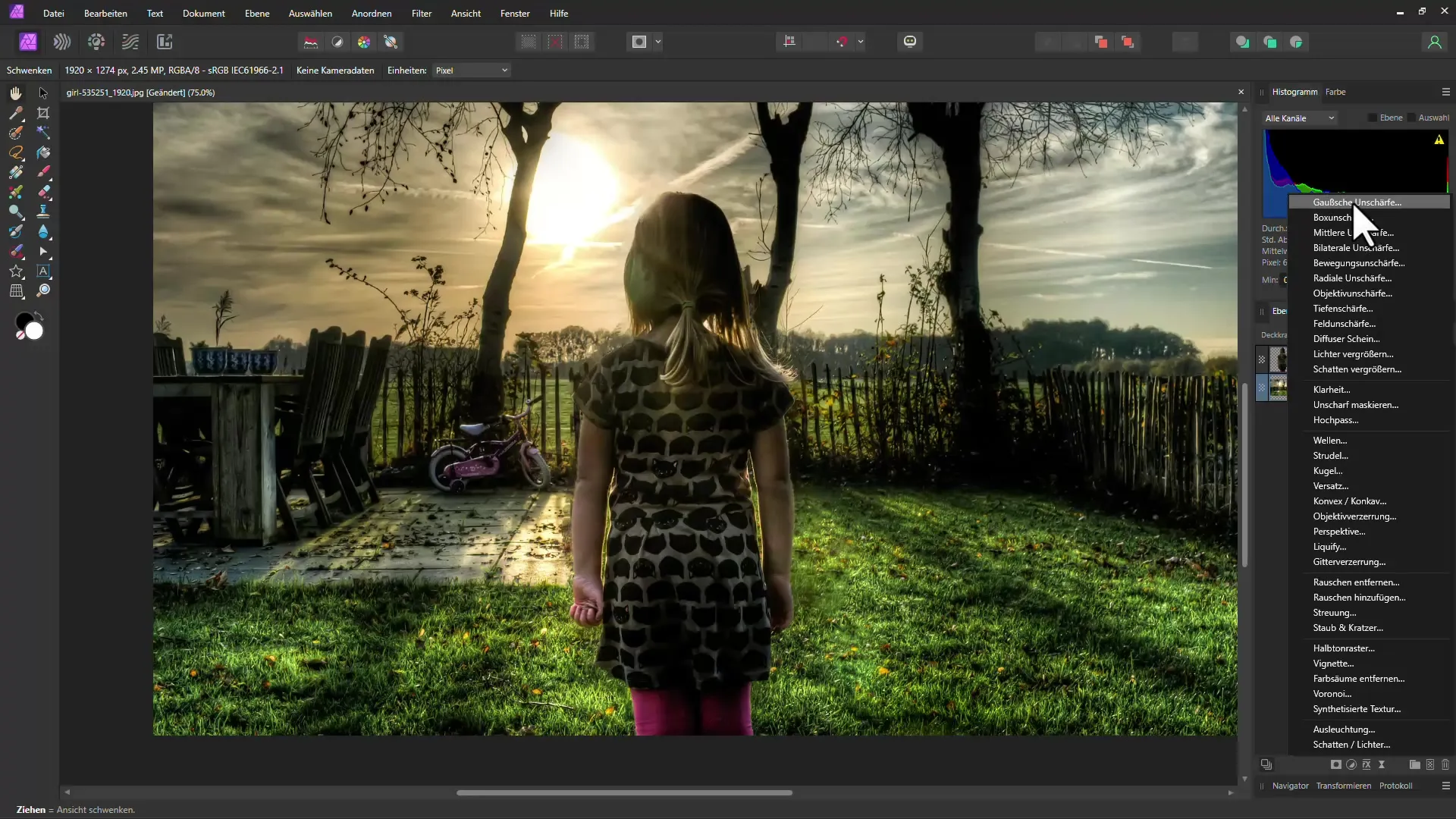 Applicare una profondità di campo efficiente in Affinity Photo