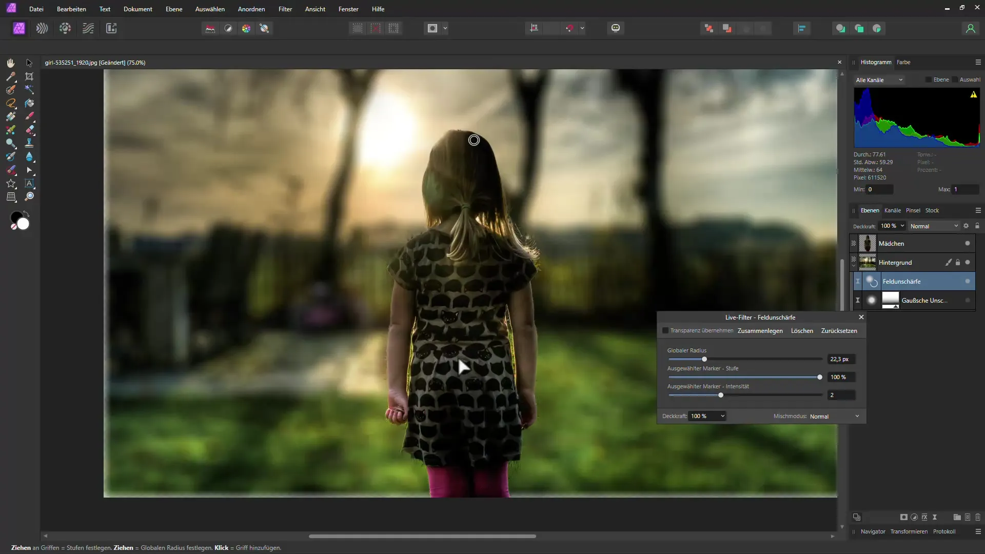 Applicare l'effetto bokeh in Affinity Photo in modo efficiente