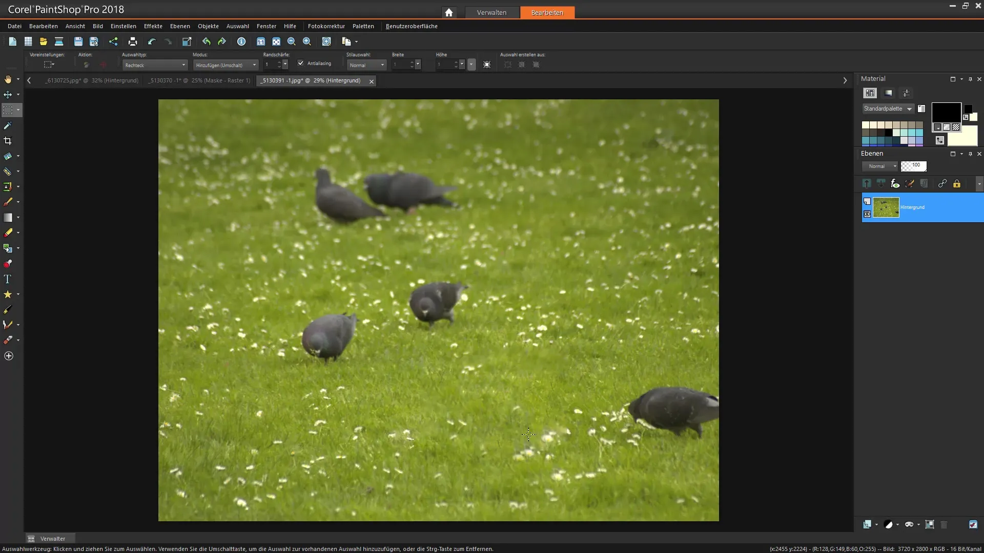 Corel PaintShop Pro: Optimálne využitie funkcie Magic Fill a Magic Move