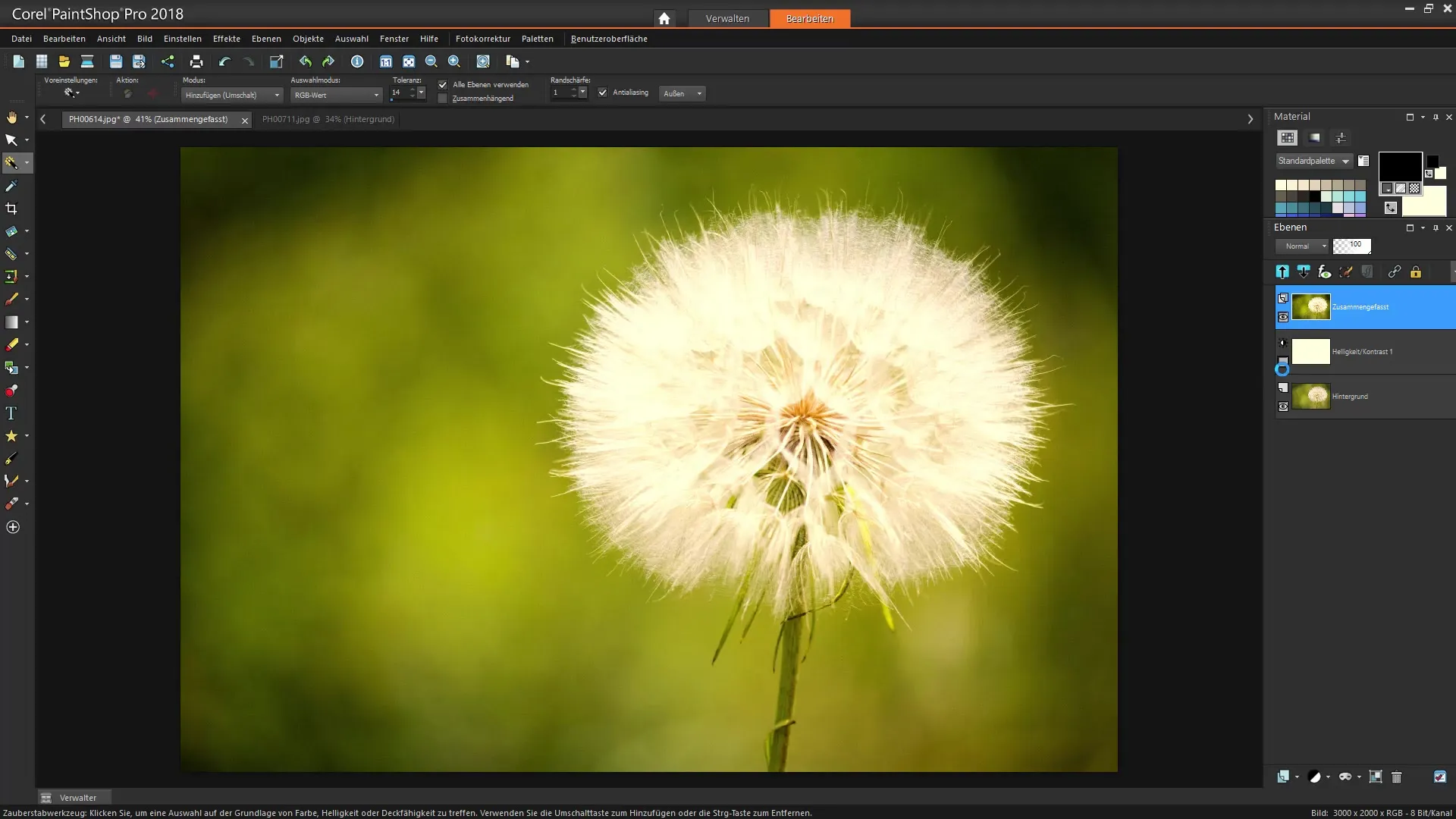 Corel PaintShop Pro: Efektívne techniky na výbery Corel PaintShop Pro: Efektívne techniky pre výbery