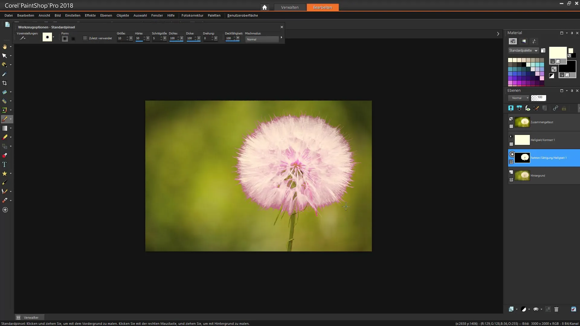 Corel PaintShop Pro: Efektívne techniky pre výbery Corel PaintShop Pro: Efektívne techniky pre výbery