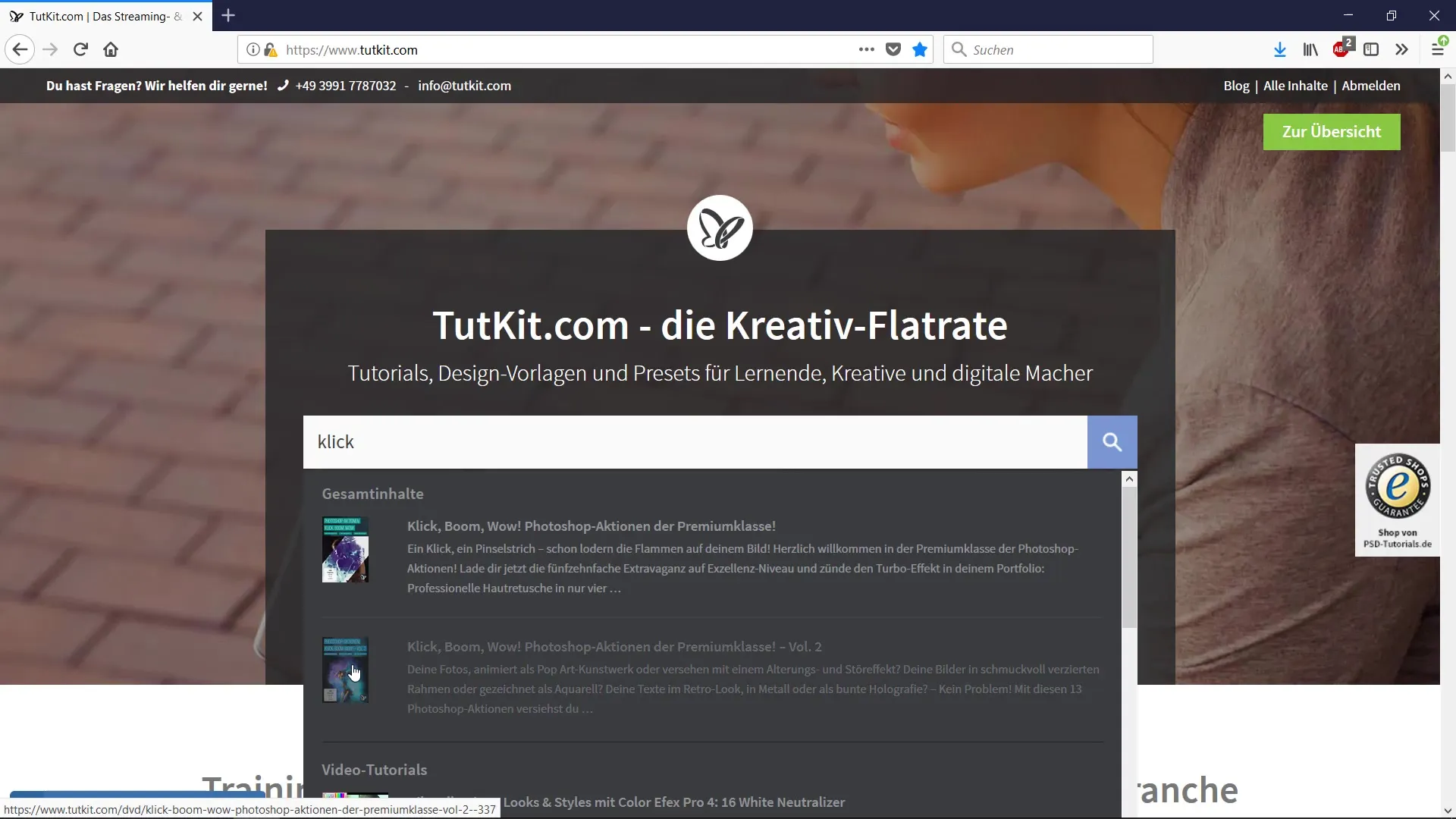 Kreative Porträtverfremdung mit Pinseln Kreative Porträtverfremdung mit Pinseln