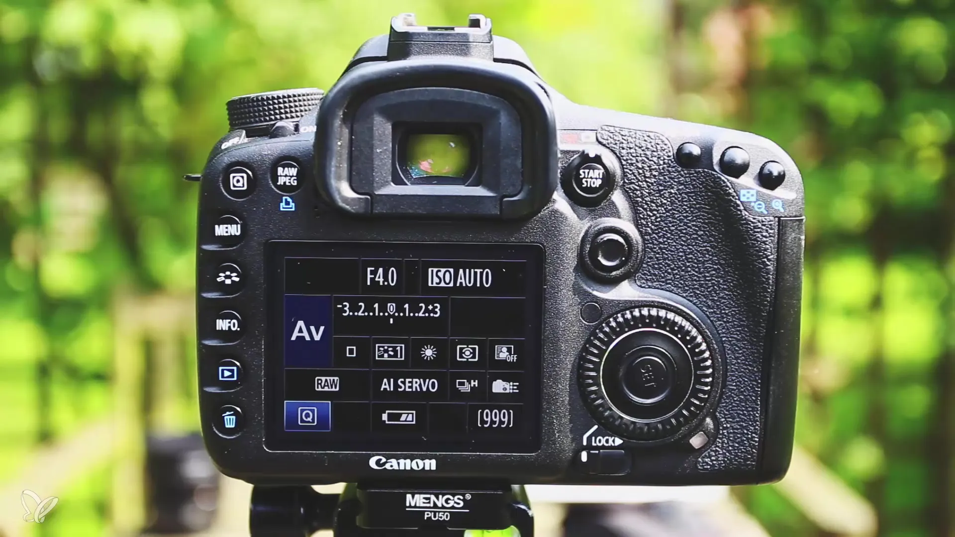 Optimálne nastavenia kamery pre fotografovanie psov vonku Optimálne nastavenia kamery pre fotografie psov vonku