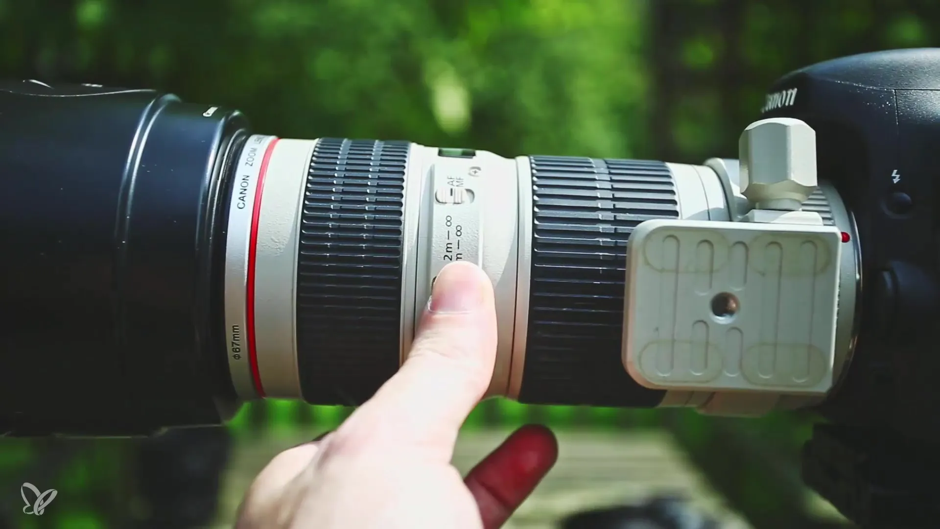 Optimálne nastavenia kamery pre fotografie psov vonku Optimálne nastavenia kamery pre fotografie psov vonku
