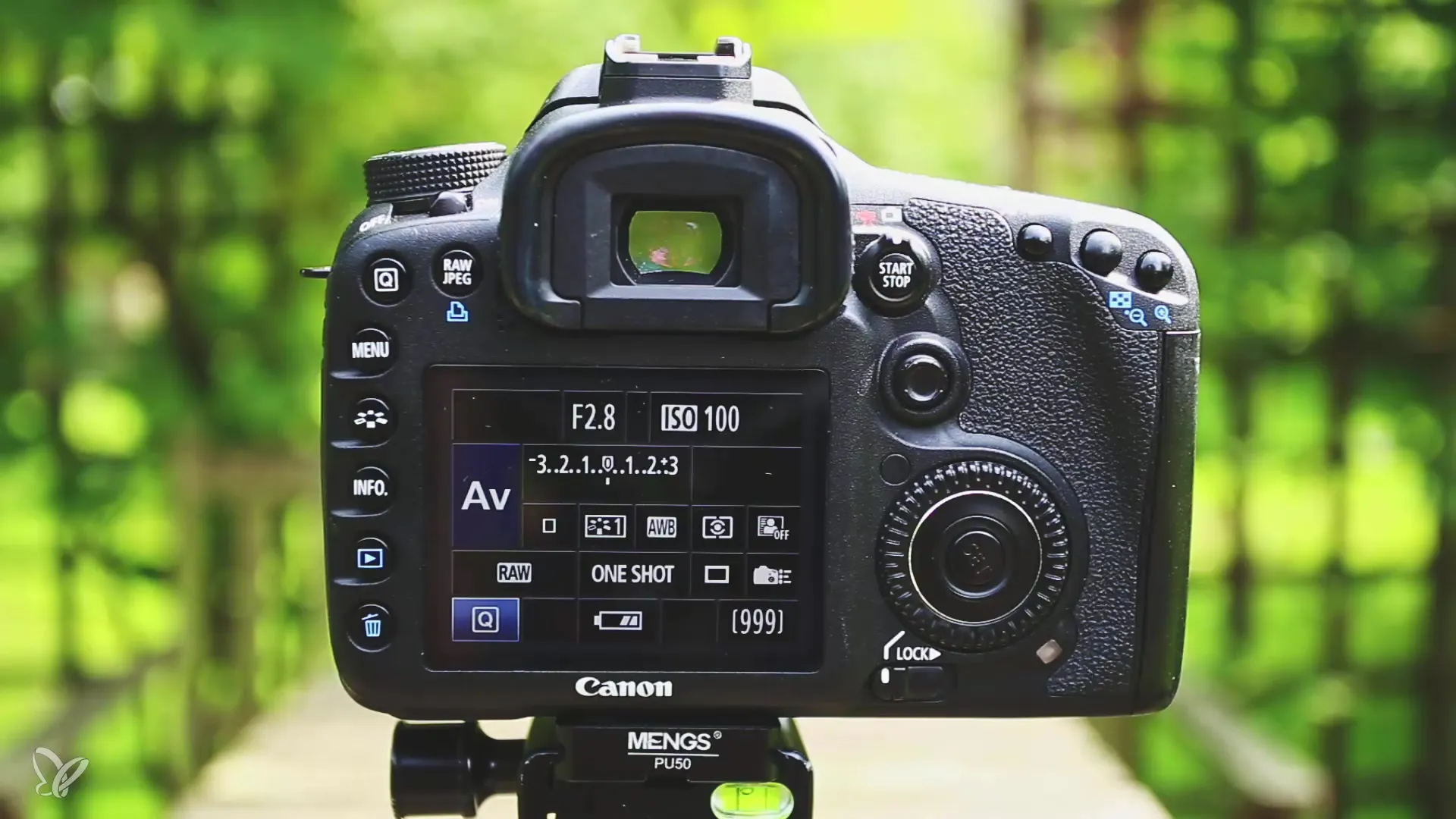 Optimálne nastavenia fotoaparátu pre psie fotografie vonku Optimálne nastavenia kamery pre fotenie psov vonku