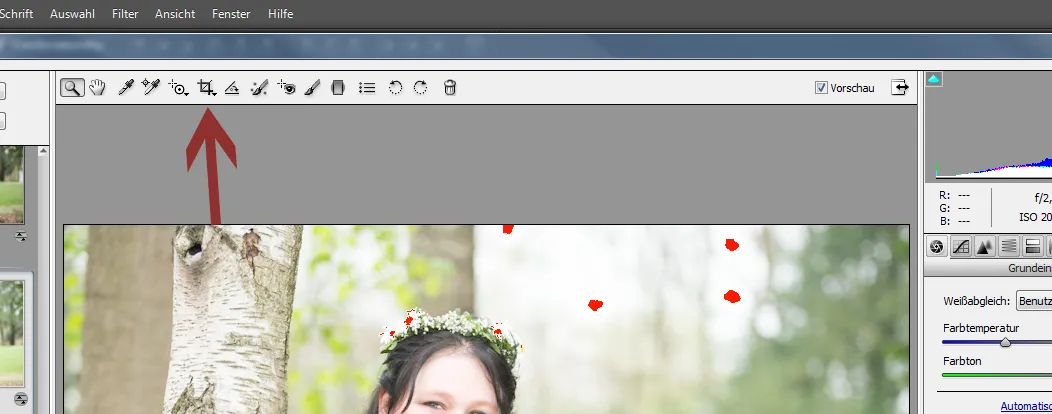 Wedding photography part 11: Image editing