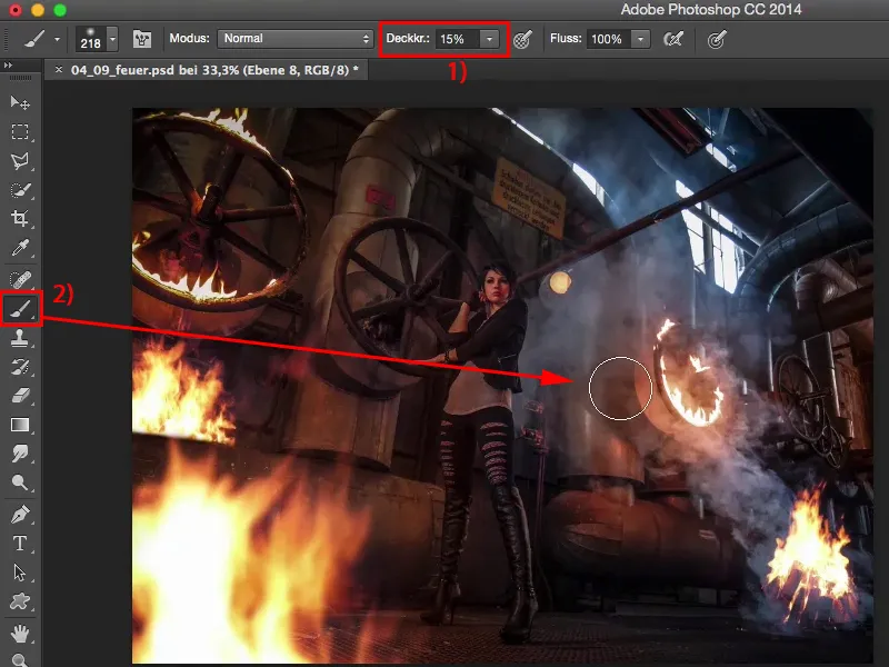 Looks & Styles with Photoshop - Ugnis