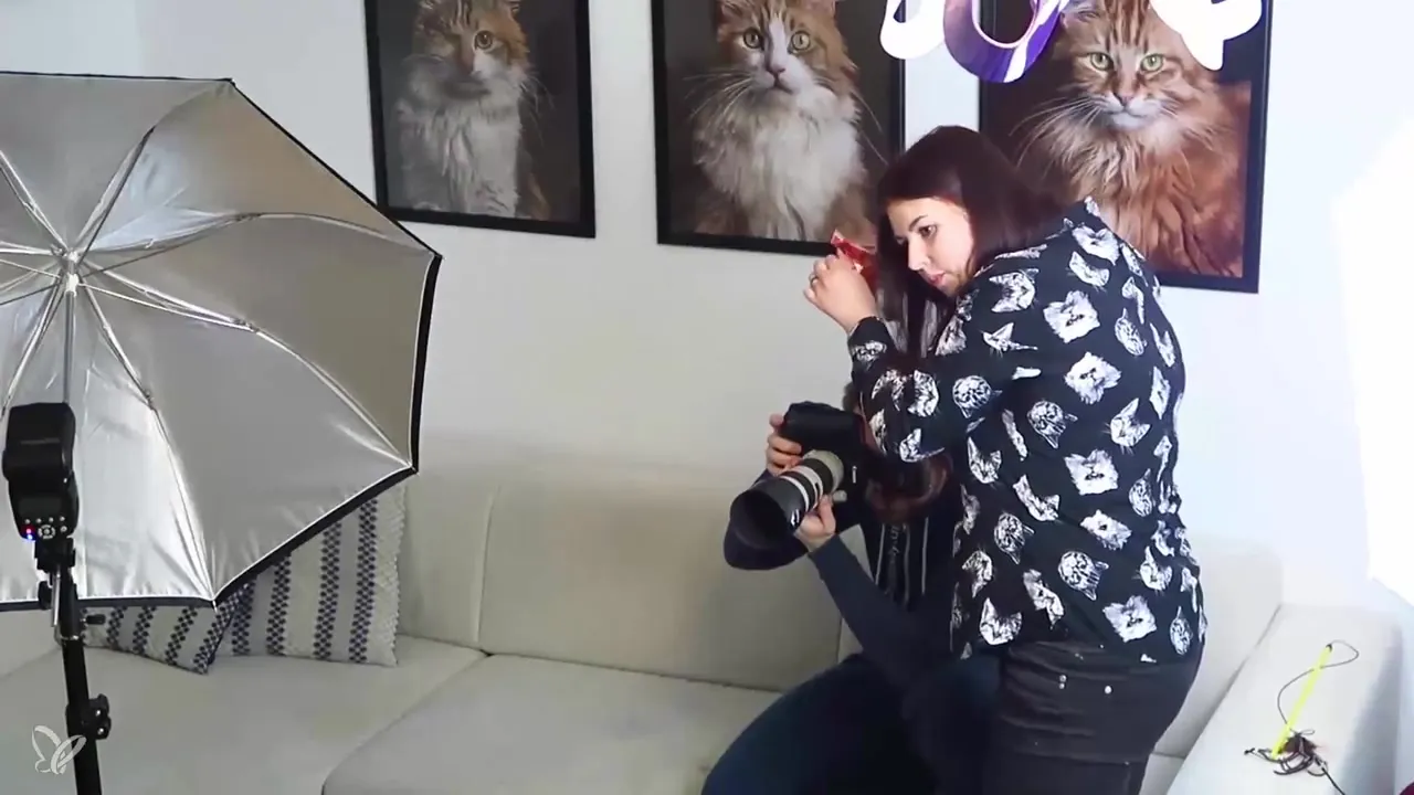 Epic Cat Portraits Photography – Step-by-Step Guide Epic Cat Portraits Photography – Step-by-Step Guide