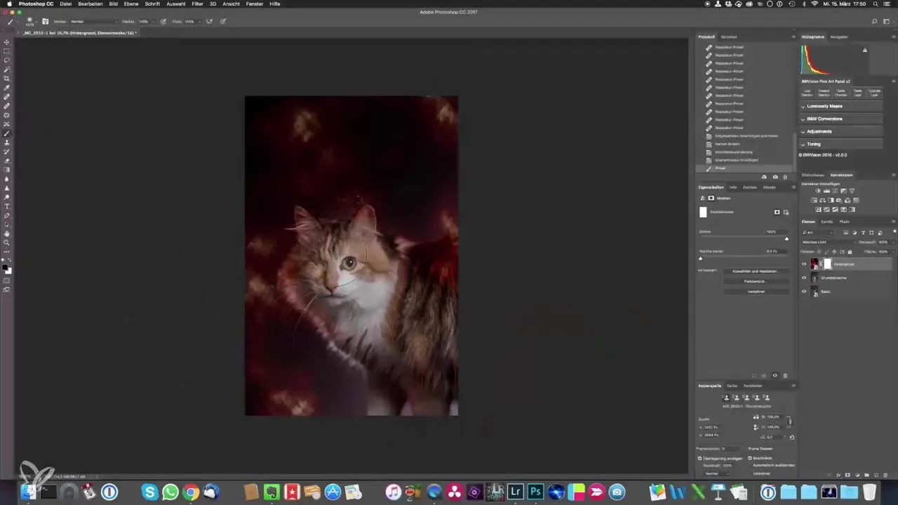Epic Cat Portraits Photography – Step-by-Step Guide Epic Cat Portraits Photography – Step-by-Step Guide