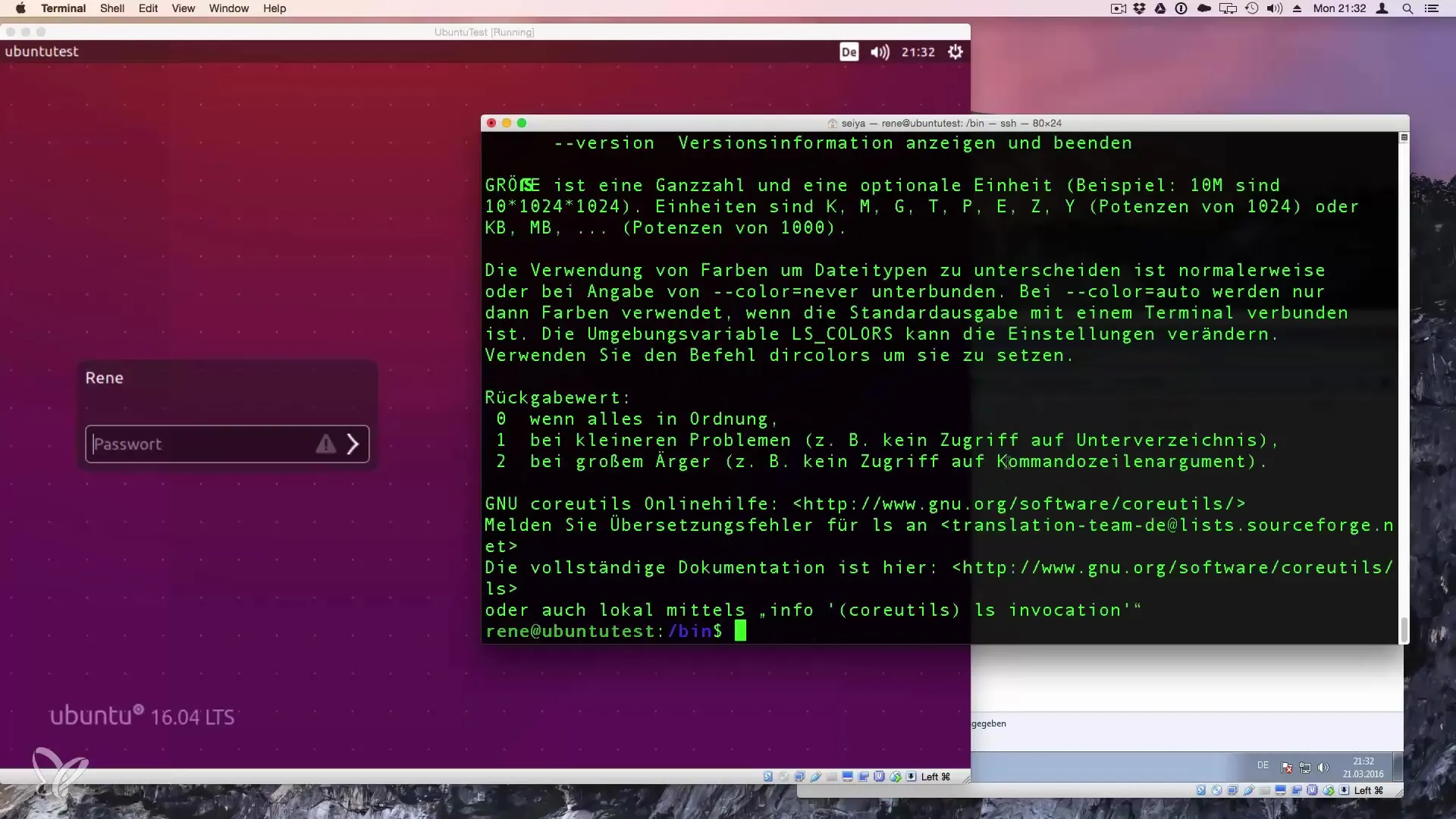 ls-Befehl in Linux: Verzeichnisinhalte effizient anzeigen ls-Befehl in Linux: Verzeichnisinhalte effizient anzeigen
