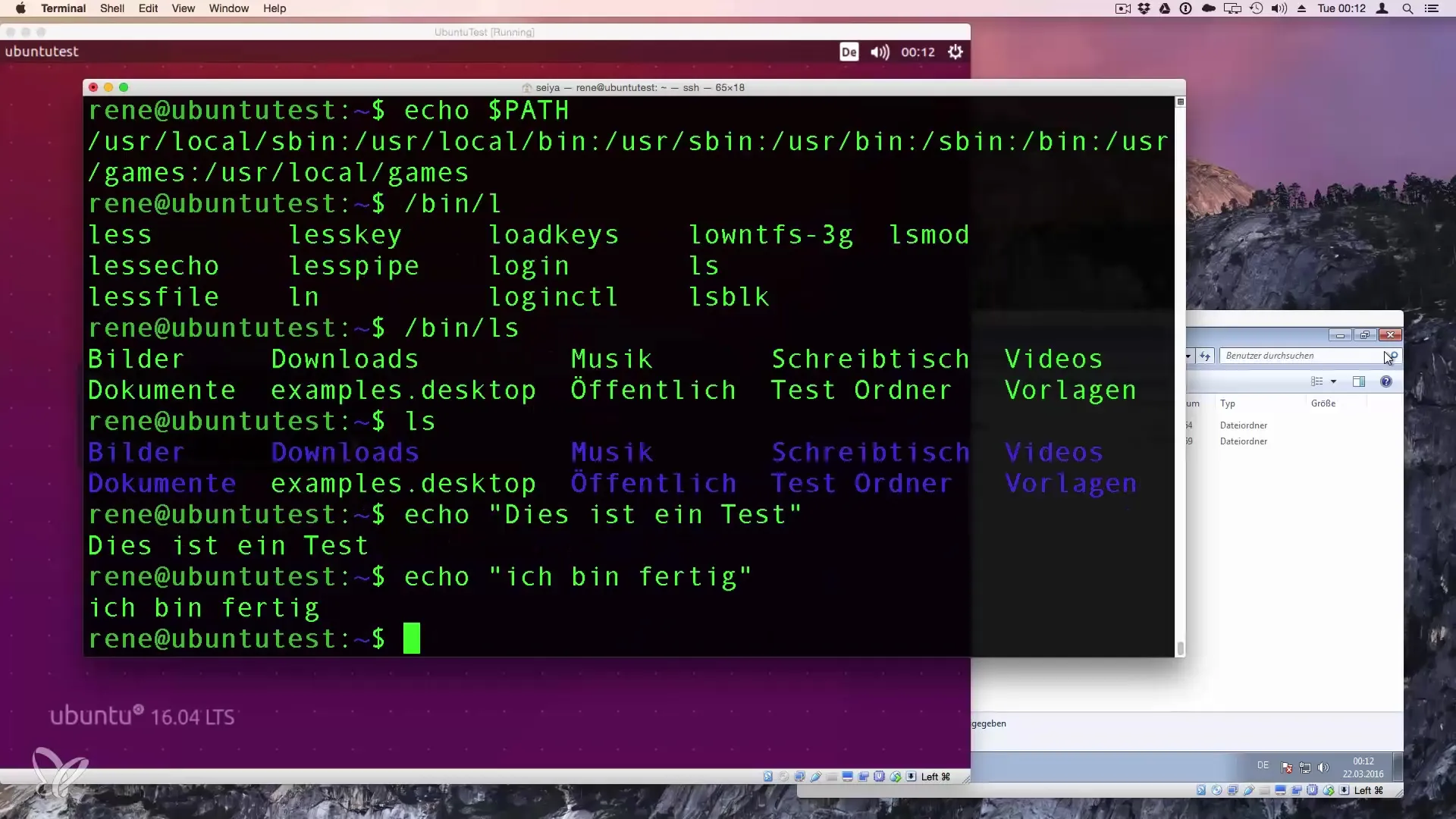 Echo in Linux - Text und Variablen einfach nutzen Echo in Linux - Text und Variablen einfach nutzen