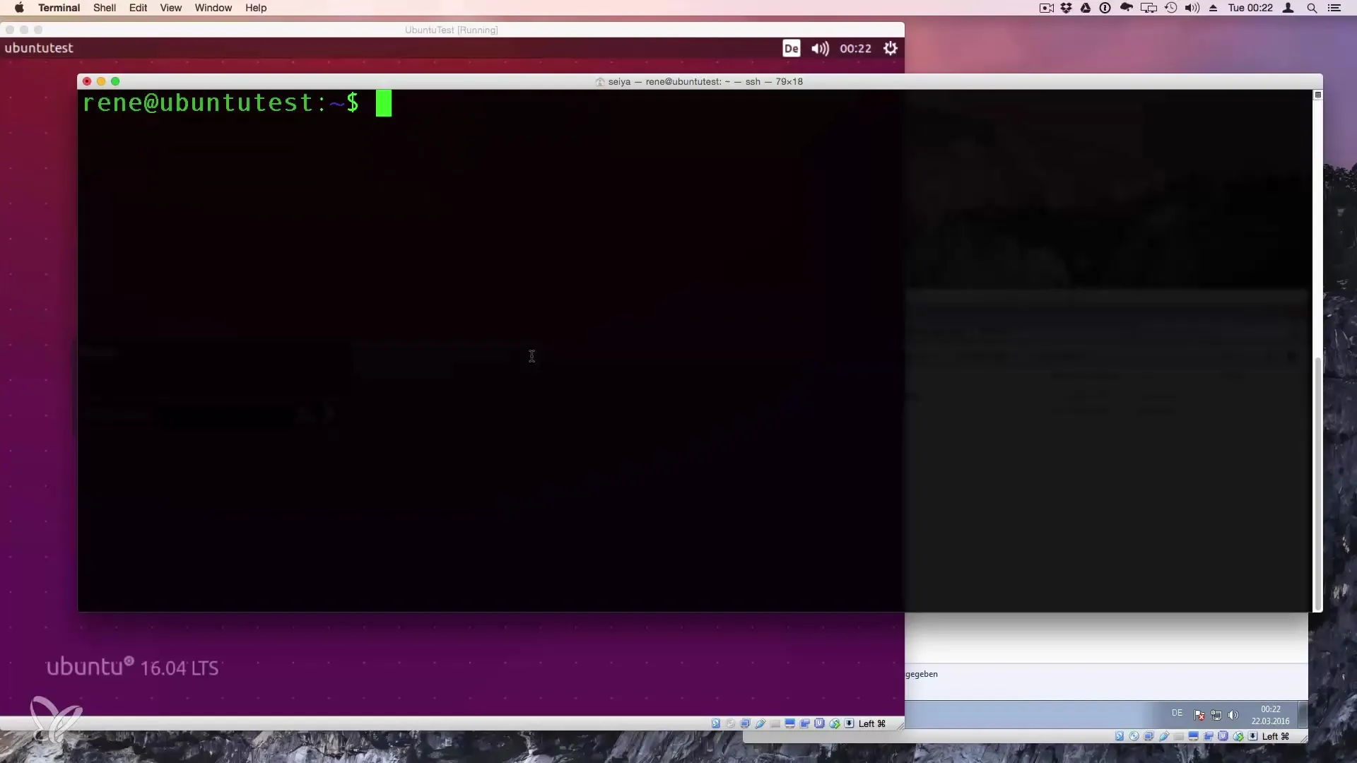Effizientes Bereinigen des Linux Terminals und Sitzungsende