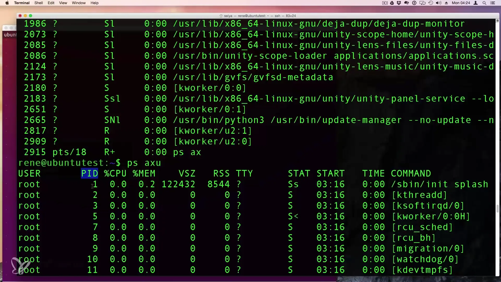Prozesse in Linux: Effiziente Verwaltung und Kontrolle Prozesse in Linux: Effiziente Verwaltung und Kontrolle
