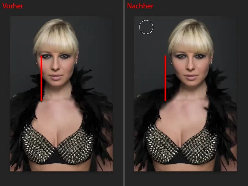 Atrodykite ir stilių naudodami „Photoshop“ - optimizuokite veido formą.