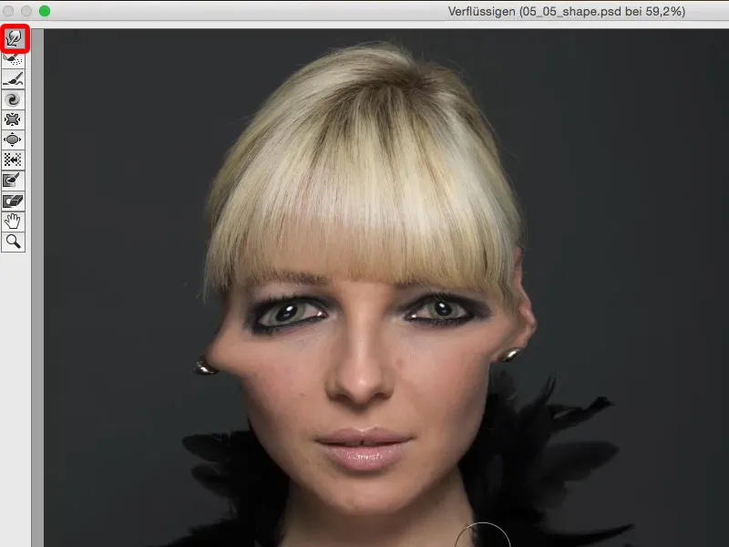 Looks & Styles mit Photoshop - Gesichtsform optimieren