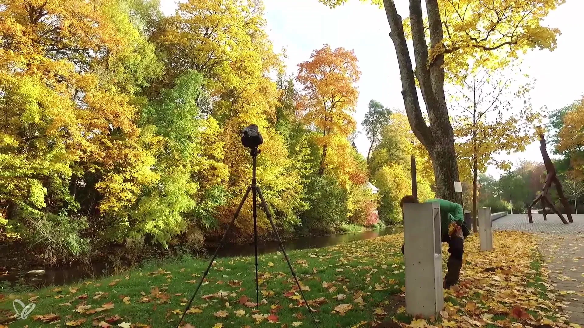 Fange den Herbst mit dem Lichtemotionist ein Fange den Herbst mit dem Lichtemotionist ein