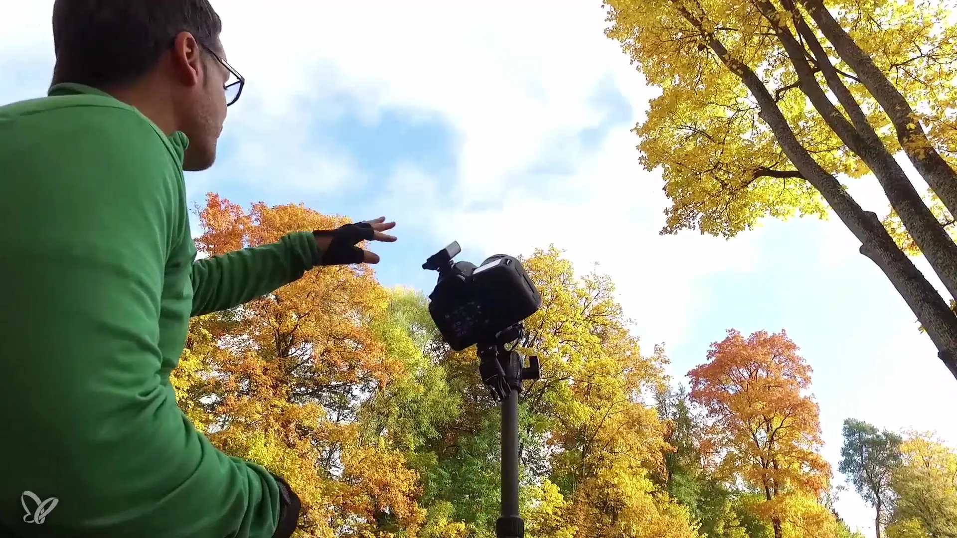 Fange den Herbst mit dem Lichtemotionist ein Fange den Herbst mit dem Lichtemotionist ein