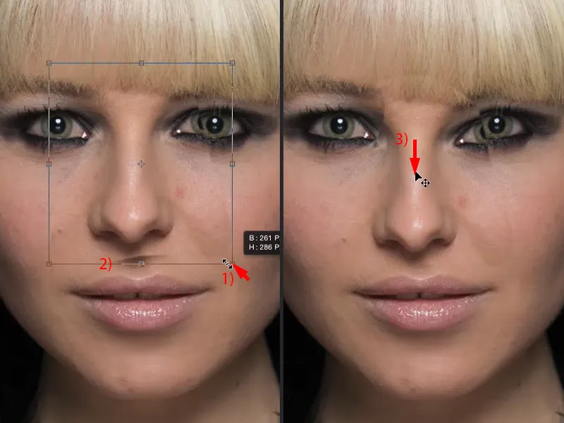 Looks & Styles with Photoshop - Replacing large areas