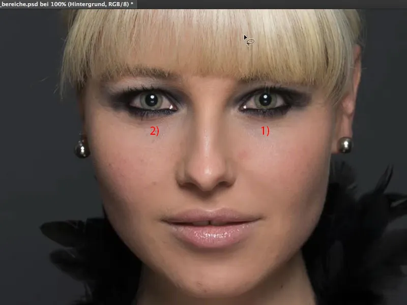 Looks & Styles with Photoshop - Replacing large areas