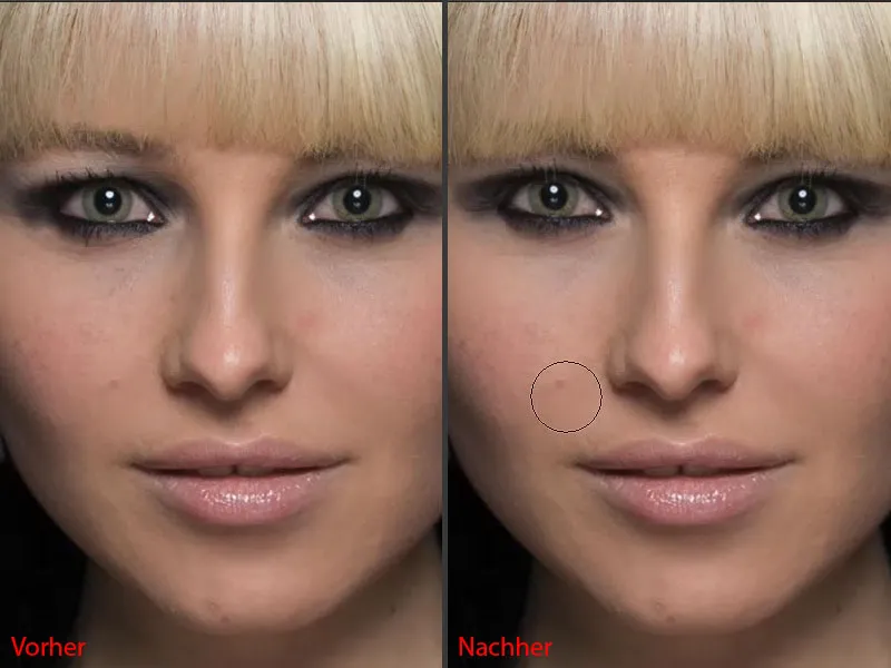 Looks & Styles with Photoshop - Replacing large areas