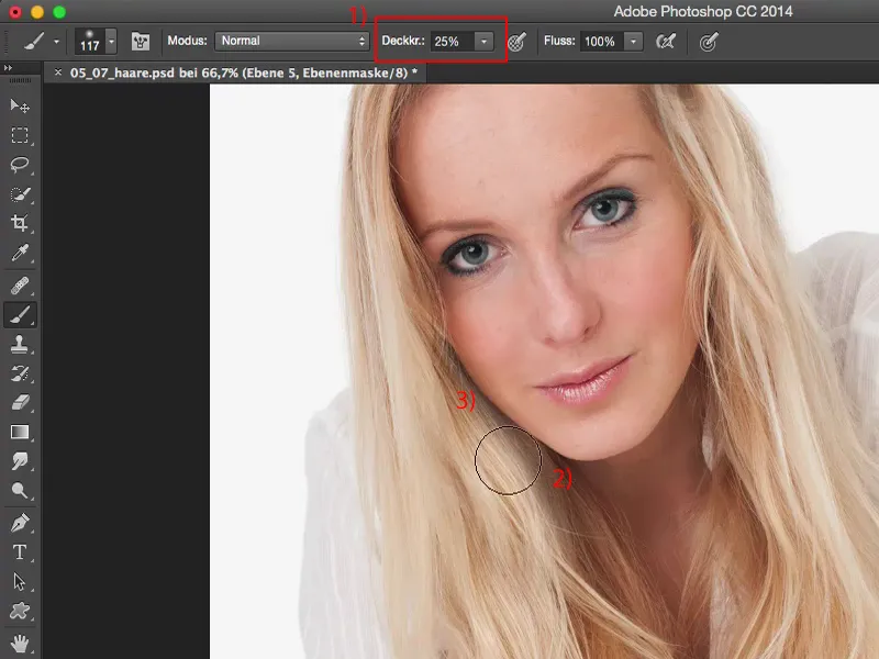 Vaata & stiilid Photoshopiga - juuste täiustamine