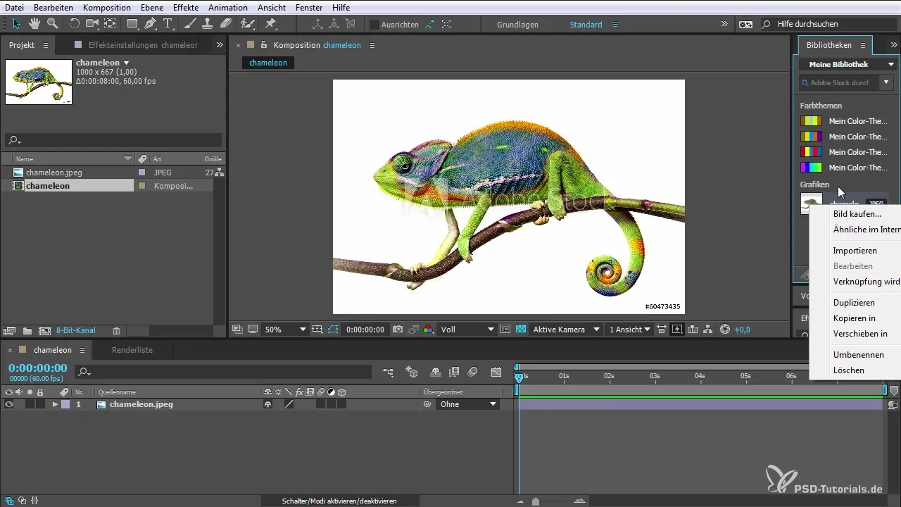 Adobe Stock v After Effects – Efektívne využitie noviniek Adobe Stock v After Effects – Efektívne využitie noviniek