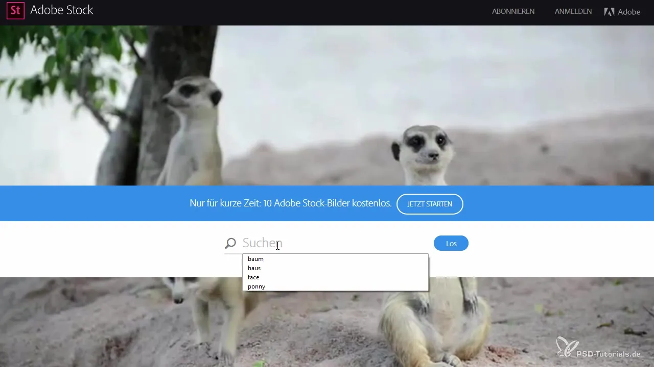 Adobe Stock v After Effects – Efektívne využitie noviniek Adobe Stock v After Effects – Efektívne využitie noviniek