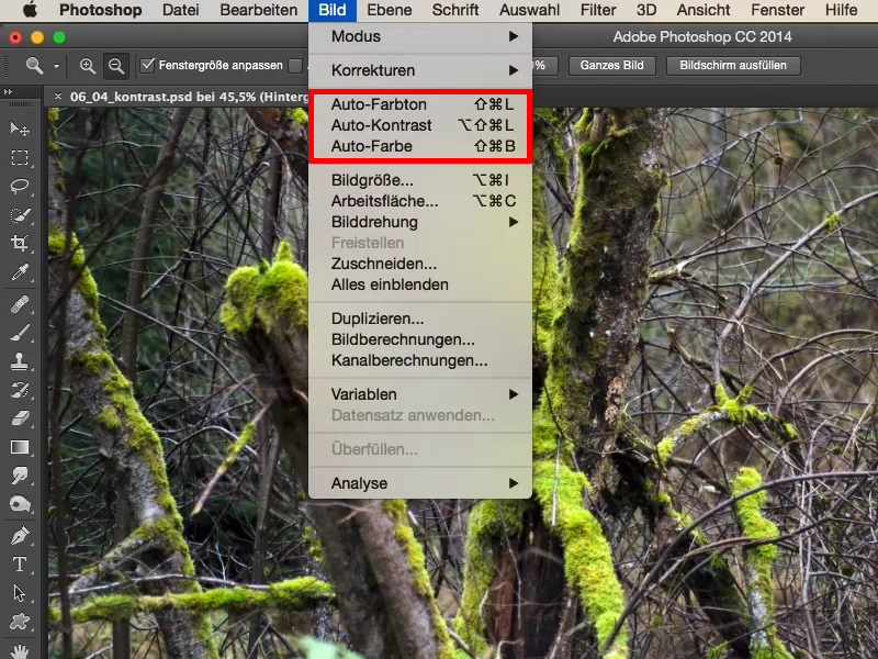 Looks & Styles mit Photoshop - Kontrast Looks & Styles mit Photoshop - Kontrast