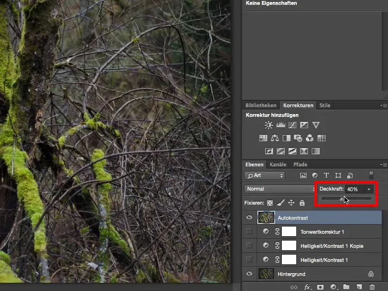 Välimus ja stiilid Photoshopis - kontrastsus