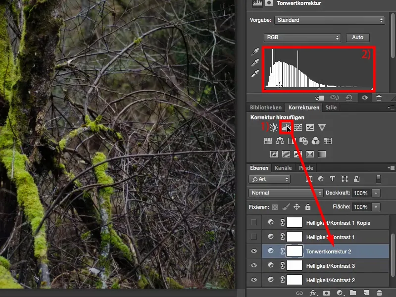 Väljanägemine ja stiilid Photoshopiga - Kontrast