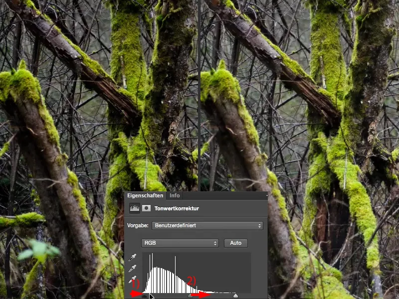 Välimus ja stiilid Photoshopiga - Kontrast