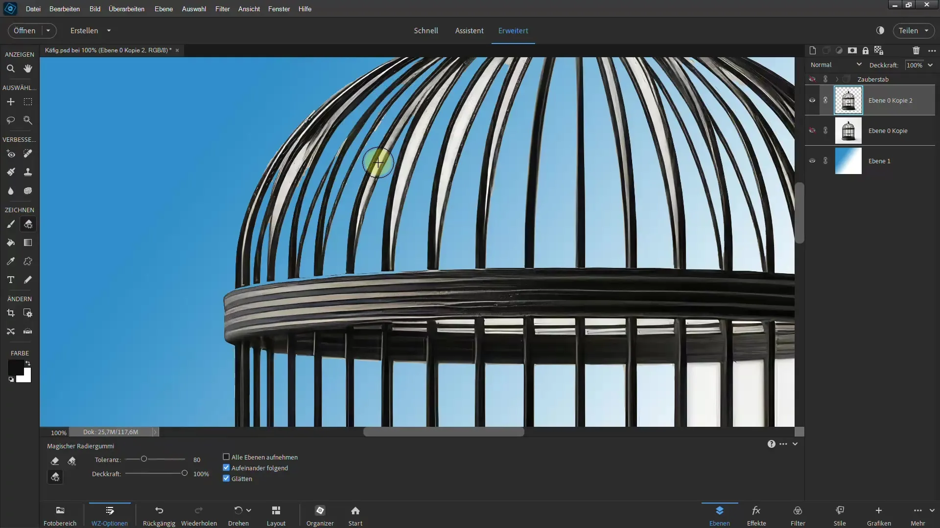 4 effektive metoder for fjerning av bakgrunn i Photoshop Elements