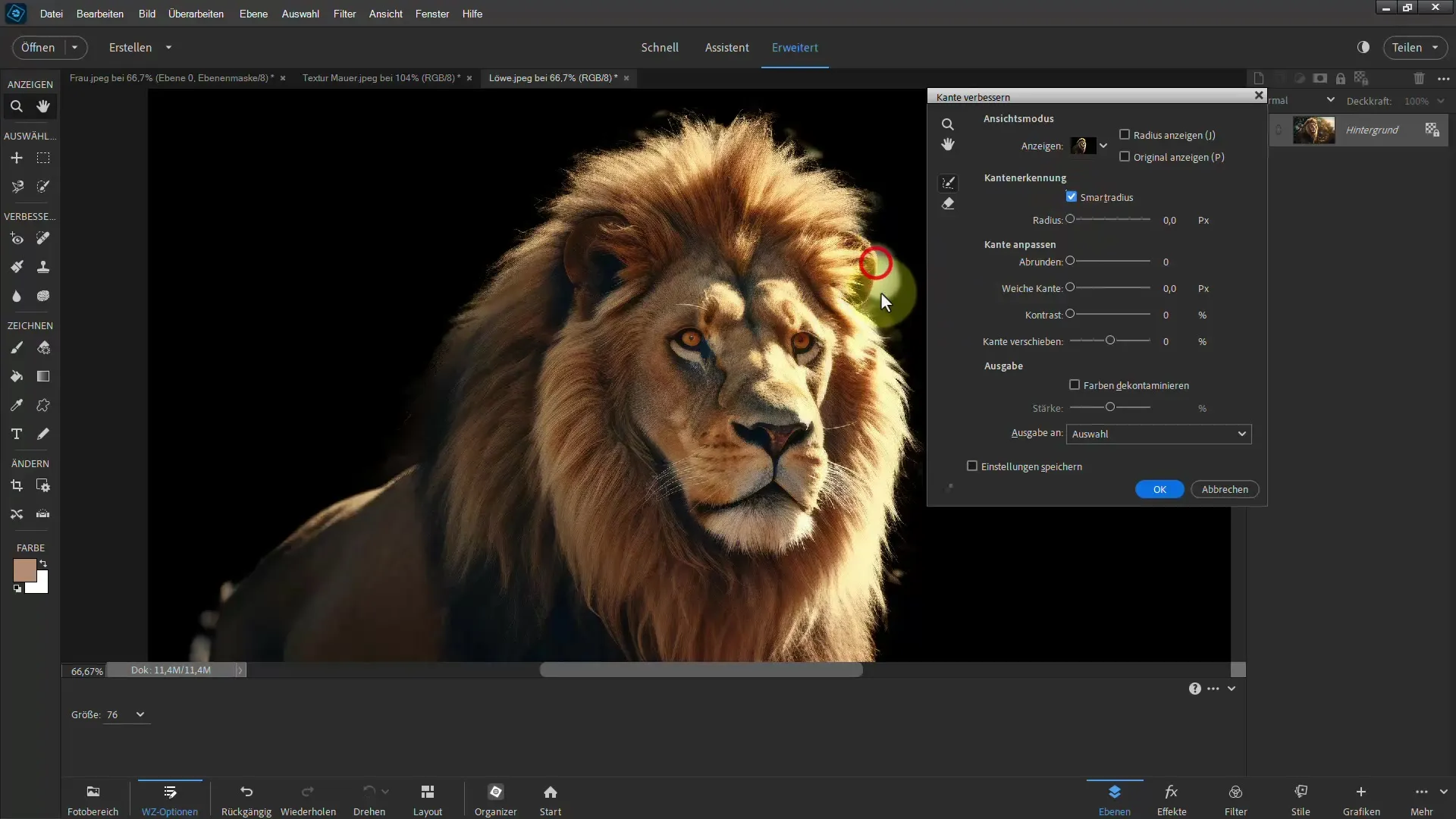 Frigjøring av en løve: Trinn-for-trinn veiledning for Photoshop Elements