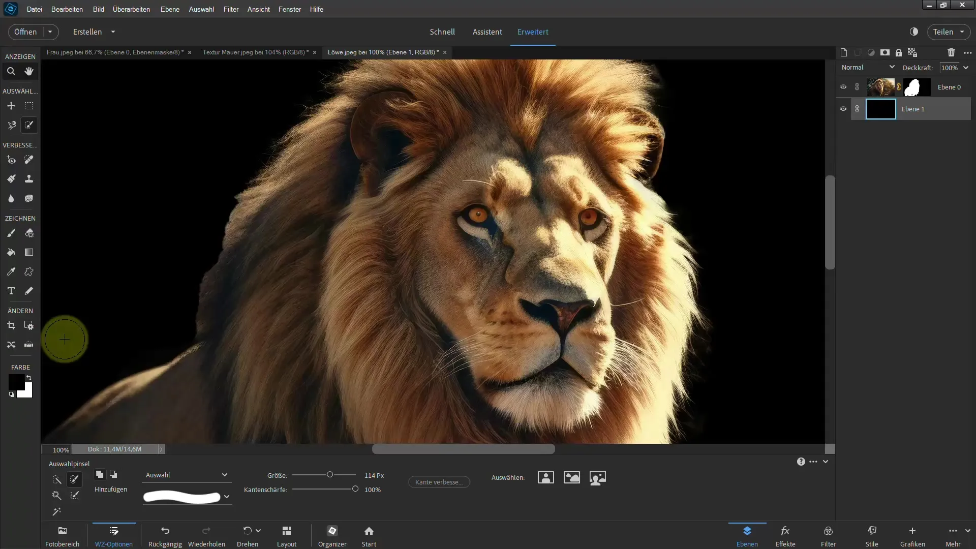 Frigjøre en løve: Trinnvis veiledning for Photoshop Elements