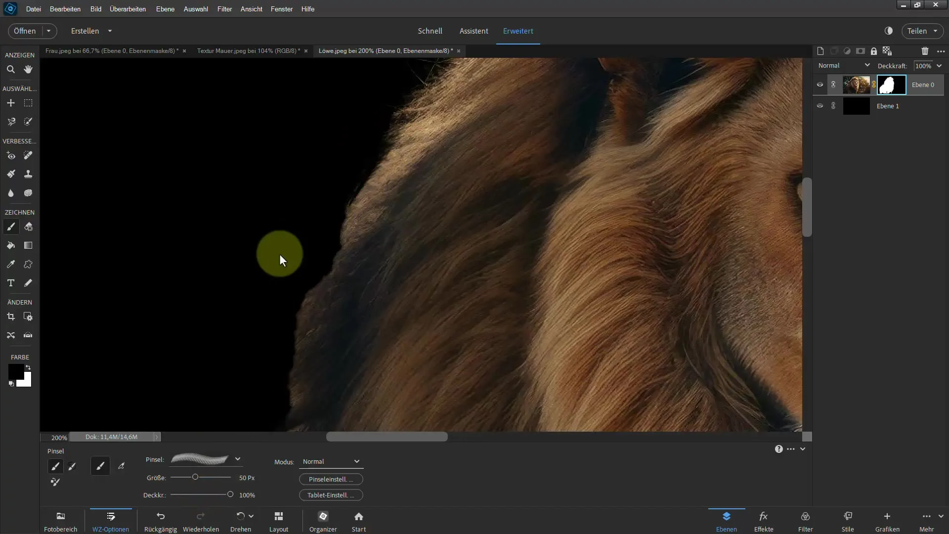 Frigjøring av en løve: Trinn for trinn veiledning for Photoshop Elements