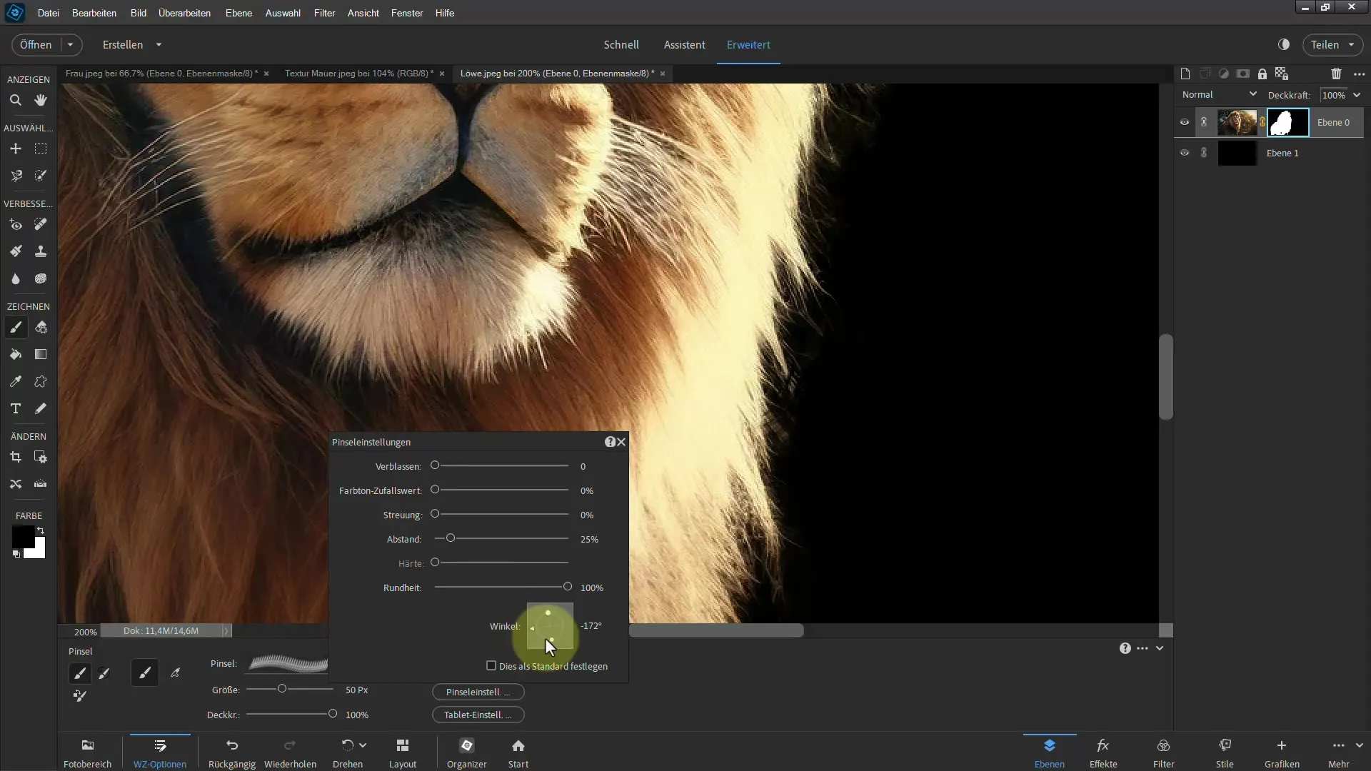Frigjøre en løve: Trinn-for-trinn veiledning for Photoshop Elements