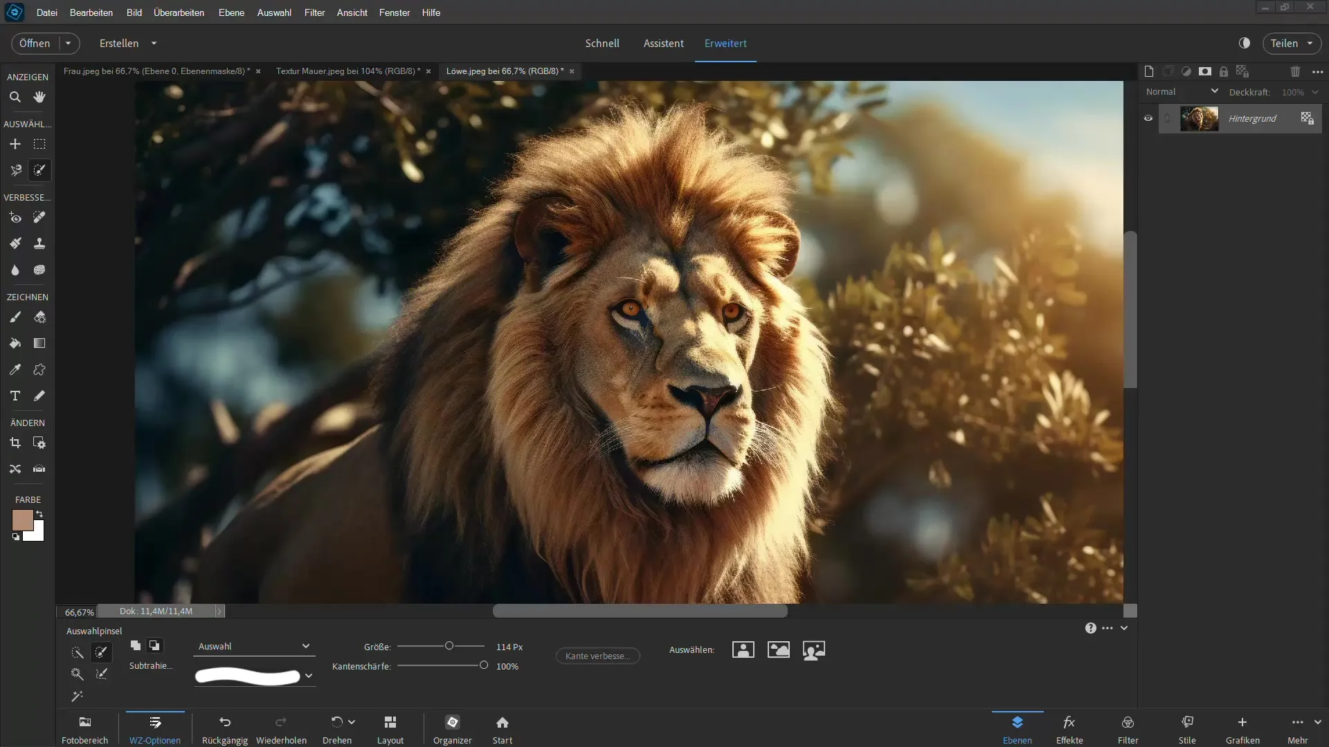 Frigjøre en løve: Trinn-for-trinn-guide for Photoshop Elements