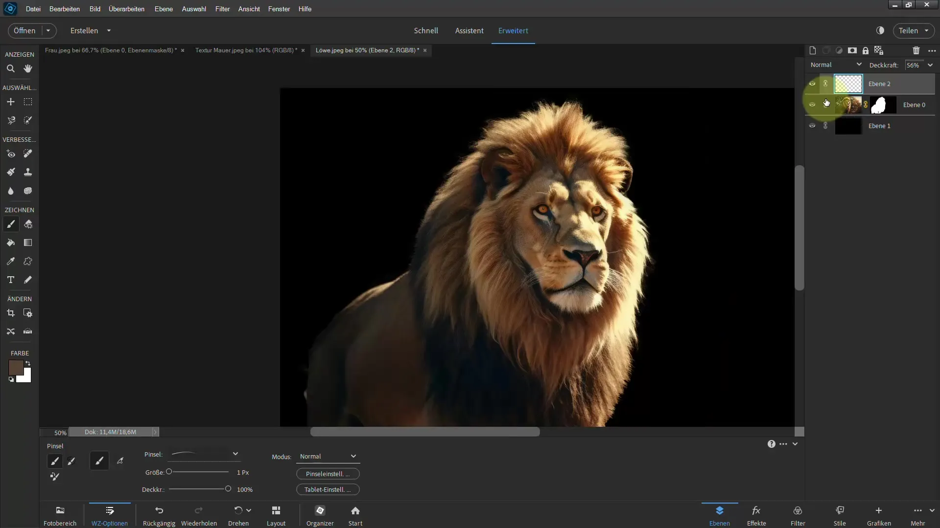 Frigjøring av en løve: Trinn-for-trinn veiledning for Photoshop Elements