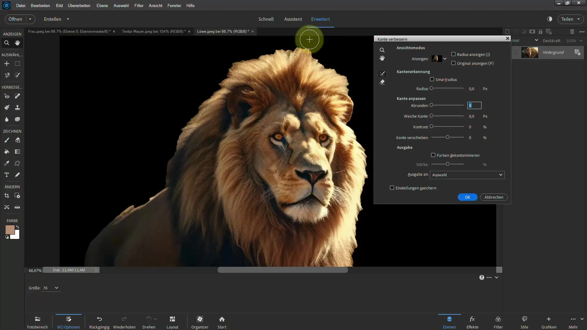 Frigjøre en løve: Trinn-for-trinn veiledning for Photoshop Elements