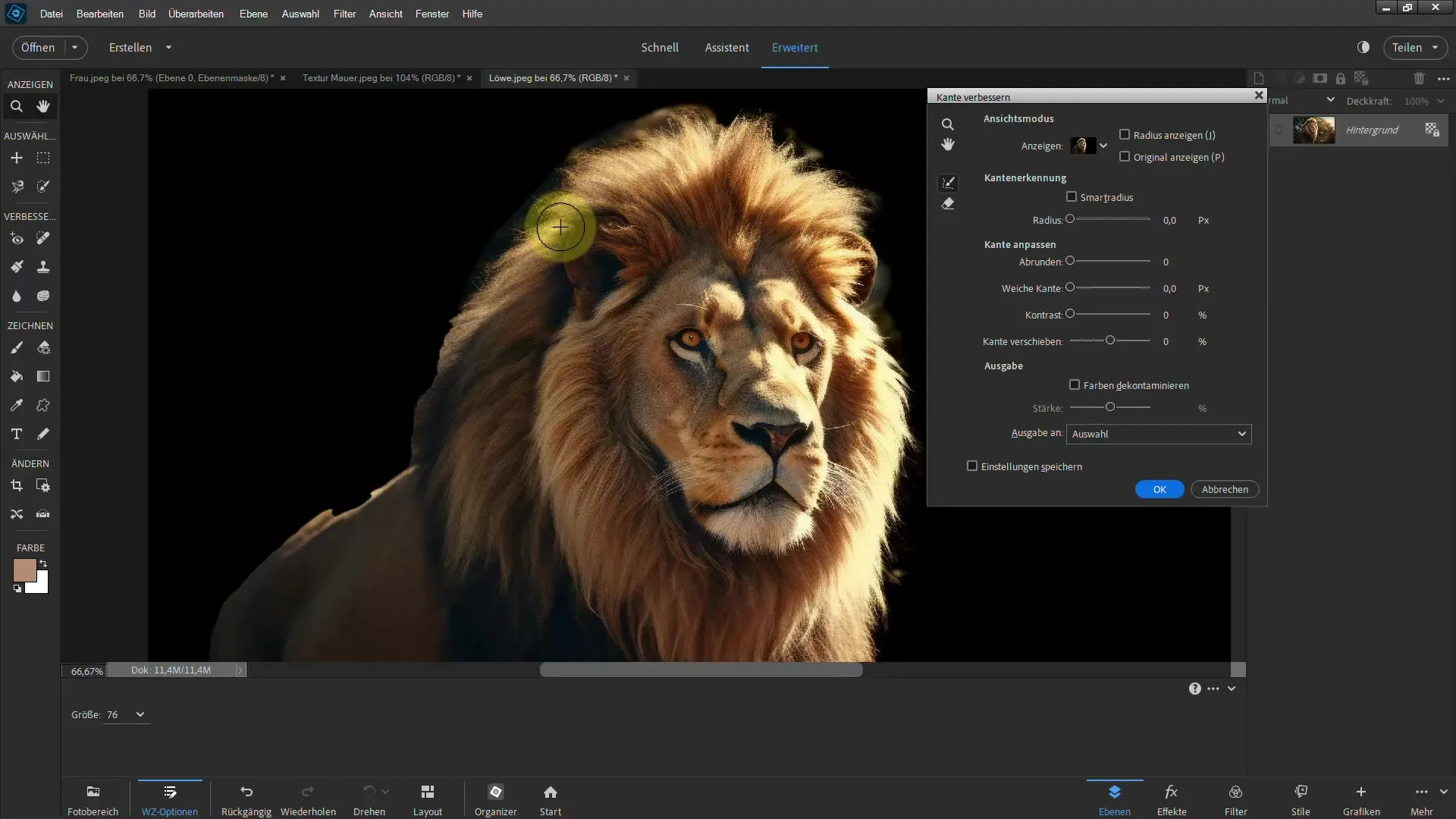 Frigjøre en løve: Trinn-for-trinn-guide for Photoshop Elements