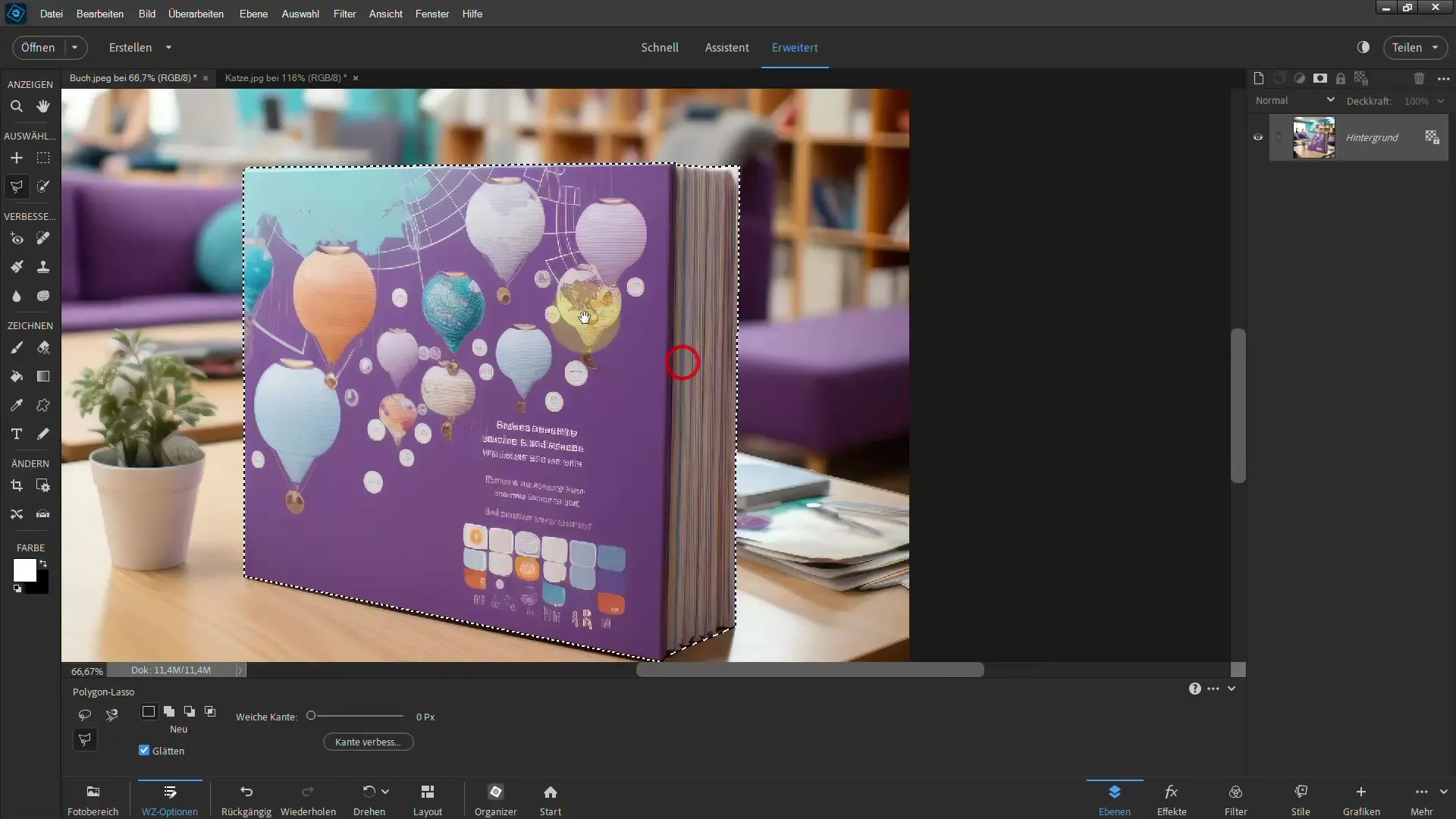 Frigjøring med Photoshop Elements: Oppnå imponerende resultater med polygon-lasoen