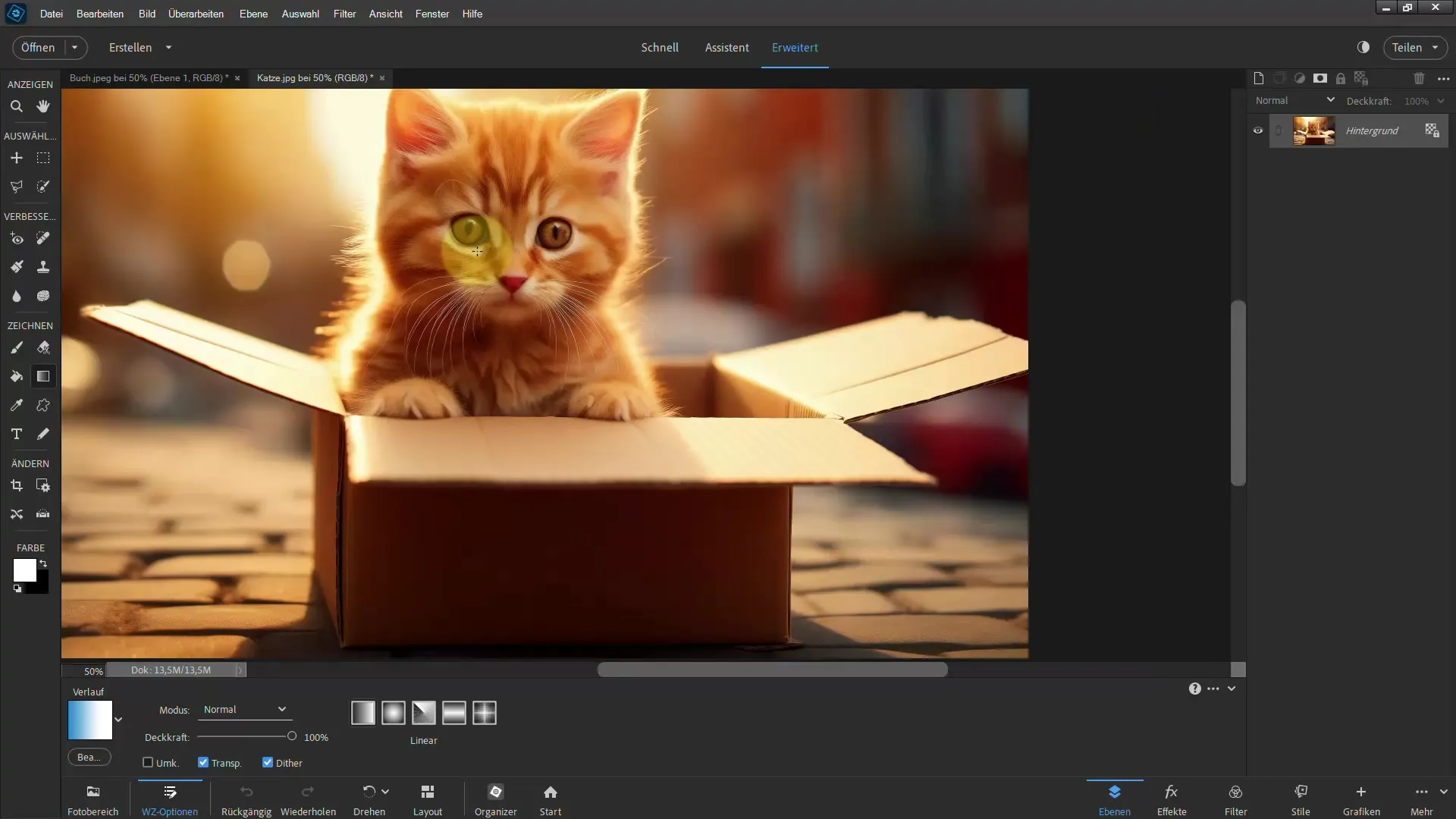 Frigjøre med Photoshop Elements: Oppnå imponerende resultater med polygon-lassoen